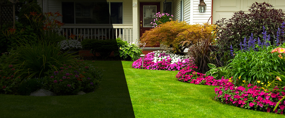 Mountain Lake Landscapers